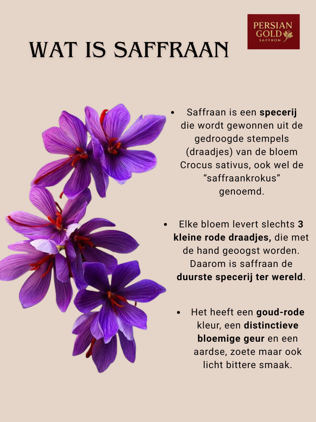 Persian Gold Premium Saffraan 4g – 100% Pure Premium Iraanse Kwaliteit – Klasse 1 Gecertificeerd – Saffron – Iraanse Saffraan – Beste Saffraan – Pure Natuurzuivere Saffraan – Krokus Specerij