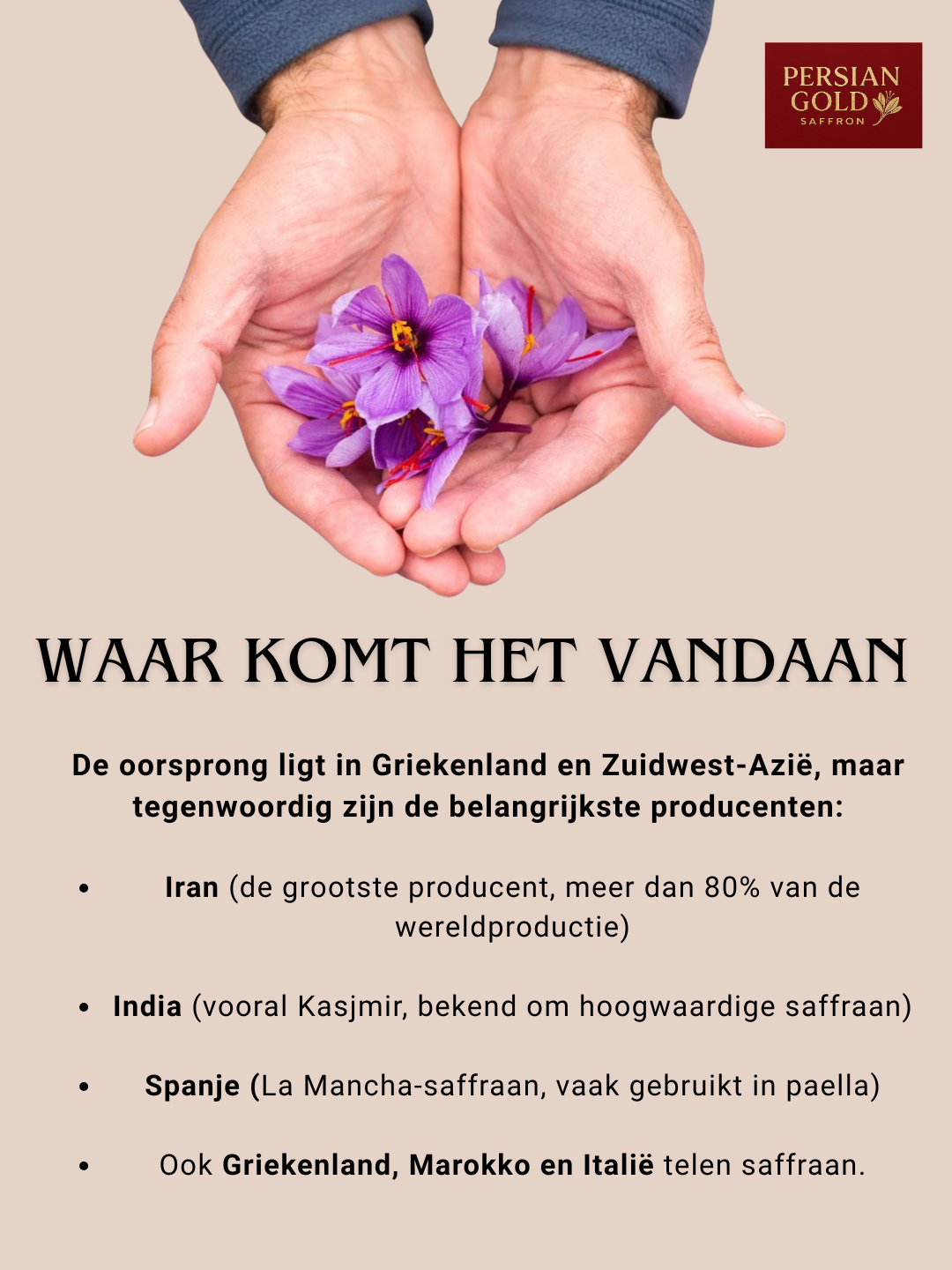 Persian Gold Premium Saffraan 4g – 100% Pure Premium Iraanse Kwaliteit – Klasse 1 Gecertificeerd – Saffron – Iraanse Saffraan – Beste Saffraan – Pure Natuurzuivere Saffraan – Krokus Specerij